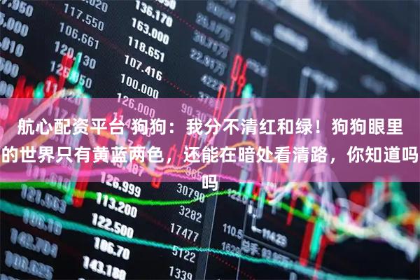 航心配资平台 狗狗：我分不清红和绿！狗狗眼里的世界只有黄蓝两色，还能在暗处看清路，你知道吗